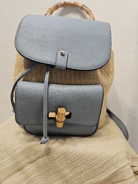 Hand Bag/Back pack/ Perrywhinckle